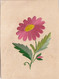 Fleur Brodée Ancienne -  Recto-Verso De 8cms X 6cms Sur Carton - Rare - Wolle