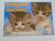 D179294 -  TENDRES BISOUS ET MILLE  PENSEES -Chat Cat  Kitten -stamp - Maurice Garin  Bike Cycling Biker  Tour De France - VTT