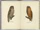 Delcampe - 1937 Série: "Le Petit Livre " Les Oiseaux De Proie. Das Kleine Buch Der Greise. 40 Pages 12/19 Cm TBE - Libros Antiguos Y De Colección
