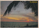 A5278- Sunset, 1500 Miles Seacoast, Tropical Florida, Atlantic Ocean, Palms, United States Of America Postcard - Venice