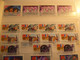 DESTOCKAGE_ COLLECTION-  RUSSIE TIMBRES NEUFS ET OBLITERES EN PARFAITE CONDITION + QUELQUES LETTRES - Verzamelingen