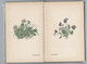 Delcampe - 1937 Le Petit Livre Des Fleurs 58 Aquarelles De Rudolf KOCH. Das Kleine Blumenbuch In Vielen Farben. - Naturaleza