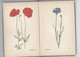Delcampe - 1937 Le Petit Livre Des Fleurs 58 Aquarelles De Rudolf KOCH. Das Kleine Blumenbuch In Vielen Farben. - Naturaleza
