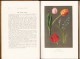 H.A. Rankin - Pastel Work Flowers - Ed. Sir Isaac Pitman & Sons,  LTD. - Fauna