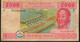 C.A.S. EQUATORIAL GUINEA P508Fa 2000 FRANCS 2002  SIGNATURE 5 FIRST   FINE Fods NO P.h. - Centraal-Afrikaanse Staten