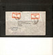 ARGENTINE . LETTRE PAR AVION 1947 POUR FRANCE . 2 TIMBRES N° PA 20 . TAMPON VIA B.S.A.A.( British South American Airway) - Covers & Documents