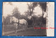 CPA Photo - HERFORD Ou Environs - Beau Portrait D'un Garçon & Son Chien Sur Attelage - Cheval Blanc Marchand Ambulant ? - Herford