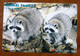 GIAPPONE Ticket Biglietto Bus Metro Treni Animal Family Card 1000 ¥ - Usato - Monde