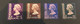 (stamp 15-05-2021) Hong Kong  - 4 Stamps - Queen Elizabeth - $ 1.30 - $ 2 - $ 5 - $ 10 - Autres & Non Classés