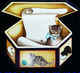 ► Double Decoupis Moderne Anglais     - Chat Art Naif Dans Boite Carton  -    Cat  In The Box - Animali