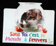 ►   Decoupis Moderne Français   - Chat Dans Aquarium   -   French Cat   Imp. Paris - Animals