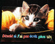 ►   Decoupis Moderne  - Chat - French Cat   Imp. Paris - Animali