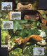 Delcampe - Dokumentation 1992 Set 128 EIRE 798/1 **, 4MC+ FDC 20€ WWF Nager Edel-Marder Naturschutz Fauna Pine Marten Of Wild-life - Storia Postale