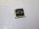 PIN'S     VOLKSWAGEN   COCCINELLE   NEW BEETLE  GENEVE 96  10mm - Volkswagen