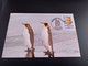 CPA. Manchots Royaux.  Passion Polaire    (028) - TAAF : French Southern And Antarctic Lands
