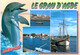 Delcampe - Lot   - Thème - Animaux -  Dauphin -   68 Cartes - 5 - 99 Postkaarten