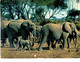 Delcampe - Lot   - Thème - Animaux -  éléphant -   Environ 90 Cartes - 5 - 99 Cartes