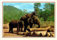 Delcampe - Lot   - Thème - Animaux -  éléphant -   Environ 90 Cartes - 5 - 99 Cartes