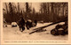 Missions  - Missions D'Extrême Nord Canadien - Série IV - Les Frères Coadjuteurs Trainent Les Arbres Coupés Jusqu à La - Missions