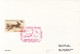 POLAR PHILATELY, EVENTS, POLAR PHILAELIC EXHIBITION, DINOSAURS, SPECIAL COVER, 1994, ROMANIA - Events & Commemorations