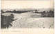 LES JARDINS DU SOUF, EL OUED, ALGERIA. UNUSED POSTCARD Jo2 - El-Oued