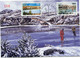 SAINT PIERRE ET MIQUELON CARTE MAXIMUM DES N°744 / 745 AUTOMNE ET HIVER AVEC OBL. ILLUSTREE SAINT PIERRE 20 JUIN 2001 - Cartes-maximum