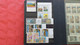 Delcampe - Lot N° TH 491 EUROPE Et Divers Pays Timbres Neufs Xx Un Lot De 2 Classeurs - Collections (with Albums)