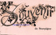 Souvenir De STERPIGNY - Carte Colorée Et Circulé - Gouvy