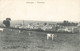 SOUMAGNE - Panorama (avec Les Vaches Dans Le Pré) - Carte Circulé En 1909 - Soumagne
