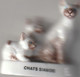 LOT DE 3 FEVES CHATS CHATS PERSANS BICOLORES , CHATS SIAMOIS ET CHAT EUROPEEN. VOIR SCANS - Animaux