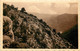 VILLEFORT PANORAMA SUR LES GORGES DE LA BORNE - Villefort