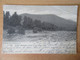 Etats-Unis - Catskill Mountains : Scene On The Esopus Creek - Carte Circulée Vers Peïra Cava (France) En 1906 - Catskills