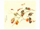 Branche De KAKI - Peint Avec La Bouche - Art - Peintre Z. OHISHI - Arbres