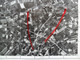 Delcampe - RUDDERVOORDE Oostkamp In ©1971 GROTE LUCHT-FOTO 63x48cm KAART ORTO PLAN 1/10.000 TOPOGRAPHIE PHOTO AERIENNE CARTE R277 - Oostkamp