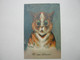 CPA ILLUSTRATEUR   Louis Wain     , Chat - Wain, Louis