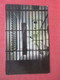 New Cell Blocks    State Prison     Jackson Michigan     Ref  4944 - Prigione E Prigionieri