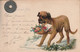 Carte Postale Ancienne De  Chien  Labrador  ( Je Crois !!) - Dogs