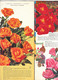 B2095 - Catalogo LISTINO ILLUSTRATO 1962 FLORICOLTURA VITTORIO BARNI-PISTOIA /ROSE/GIGLI/FIORI/FLOWERS - Giardinaggio