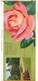 B2097 - Catalogo LISTINO ILLUSTRATO 1965 FLORICOLTURA VITTORIO BARNI-PISTOIA /ROSE MARIA CALLAS/FIORI/FLOWERS - Gardening