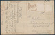 Philippines, Patient Carabao, Water Buffalo, Bubalus Bubalis - Taureaux