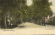 Nederland, WAGENINGEN, Arnhemsche Straatweg (1900s) Ansichtkaart - Wageningen