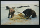 Alaska - Eskimos Skinning A Polar Bear [KP-068 - Altri & Non Classificati