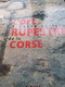 L'art Rupestre De La Corse MICHEL CLAUDE WEISS Albiana 2003 - Corse