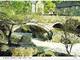 PONT-Y-PAIR, BETWS-Y-COED, CONWY, NORTH WALES. UNUSED POSTCARD  Ph3 - Carmarthenshire