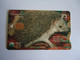 CYPRUS USED  CARDS  ANIMALS HARE  RABBIS - Rabbits