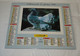 1994 CALENDRIER ( Double ) ALMANACH DU FACTEUR, LA POSTE, OISEAU, OISEAUX, OBERTHUR, MARNE 51 - Grand Format : 1991-00