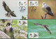 2020 Taiwan R.O.CHINA -Maximum Card.-Conservation Of Birds  (8 Pcs.) - Maximumkarten