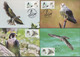 2020 Taiwan R.O.CHINA -Maximum Card.-Conservation Of Birds  (8 Pcs.) - Cartoline Maximum