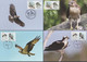 2020 Taiwan R.O.CHINA -Maximum Card.-Conservation Of Birds  (8 Pcs.) - Maximumkaarten