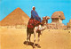 CPSM Egypt-Giza-Beau Timbre    L680 - Abu Simbel